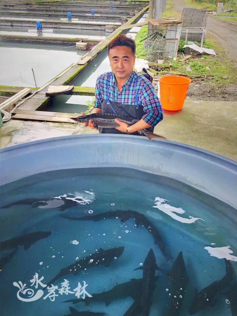 水岸养殖鱼场
