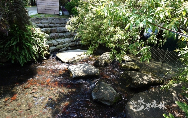 Landscape ecological pool