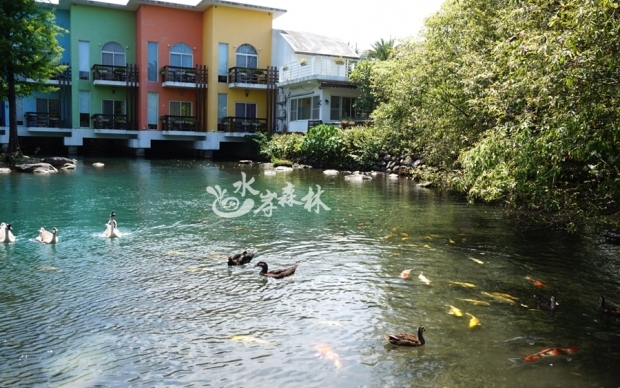 Landscape ecological pool