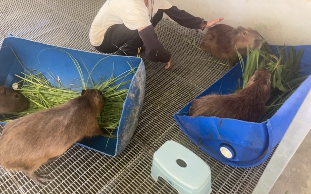 森林物語-動物園區