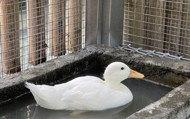 森林物語-動物園區