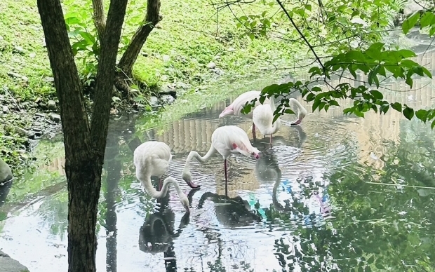 森林物語-動物園區