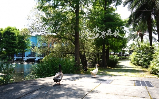 水岸景觀庭園