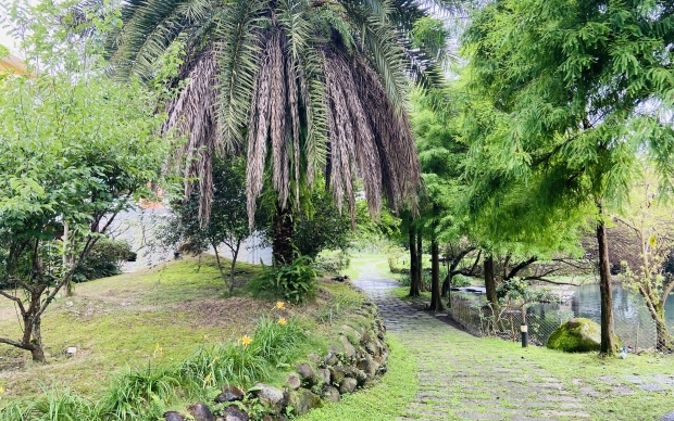 River-forest garden